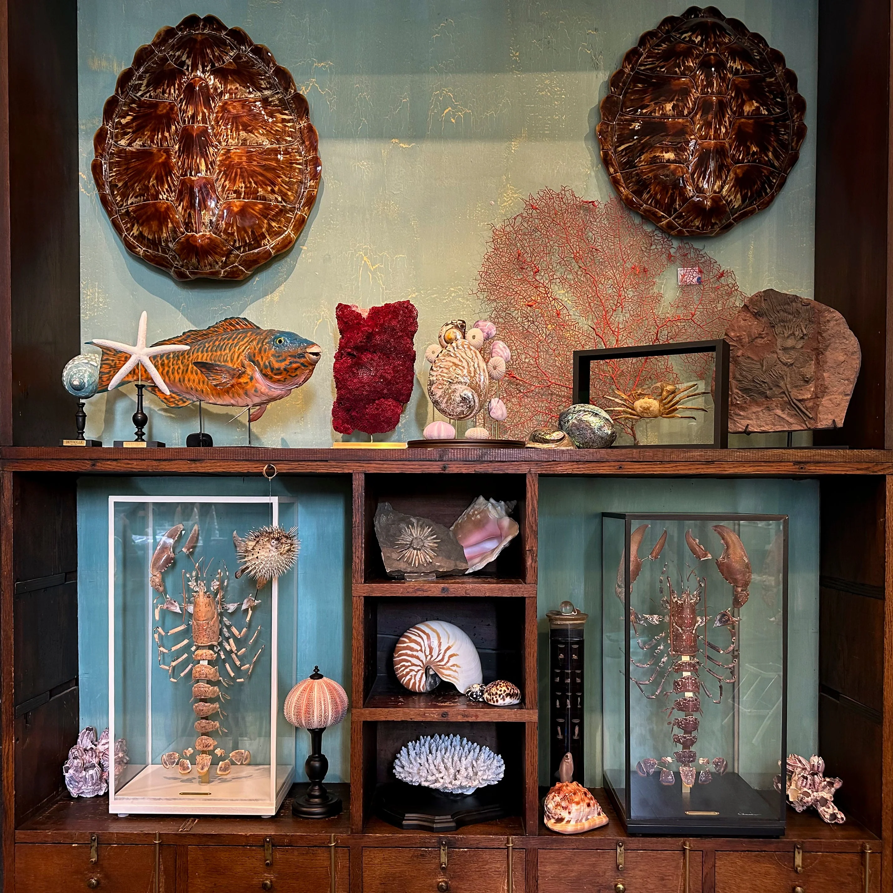 L'Art de la Nature Éternelle