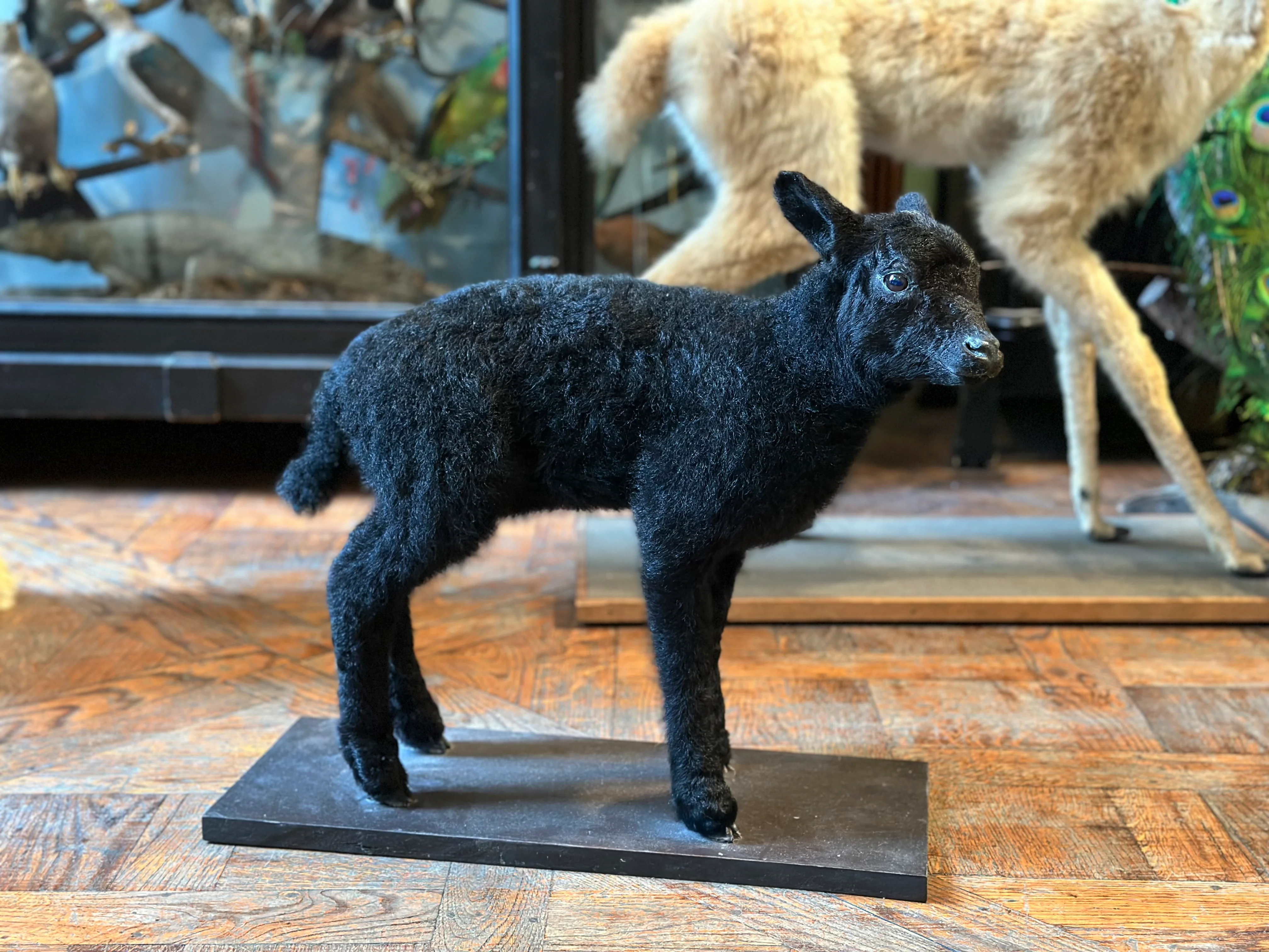 Miniature 1