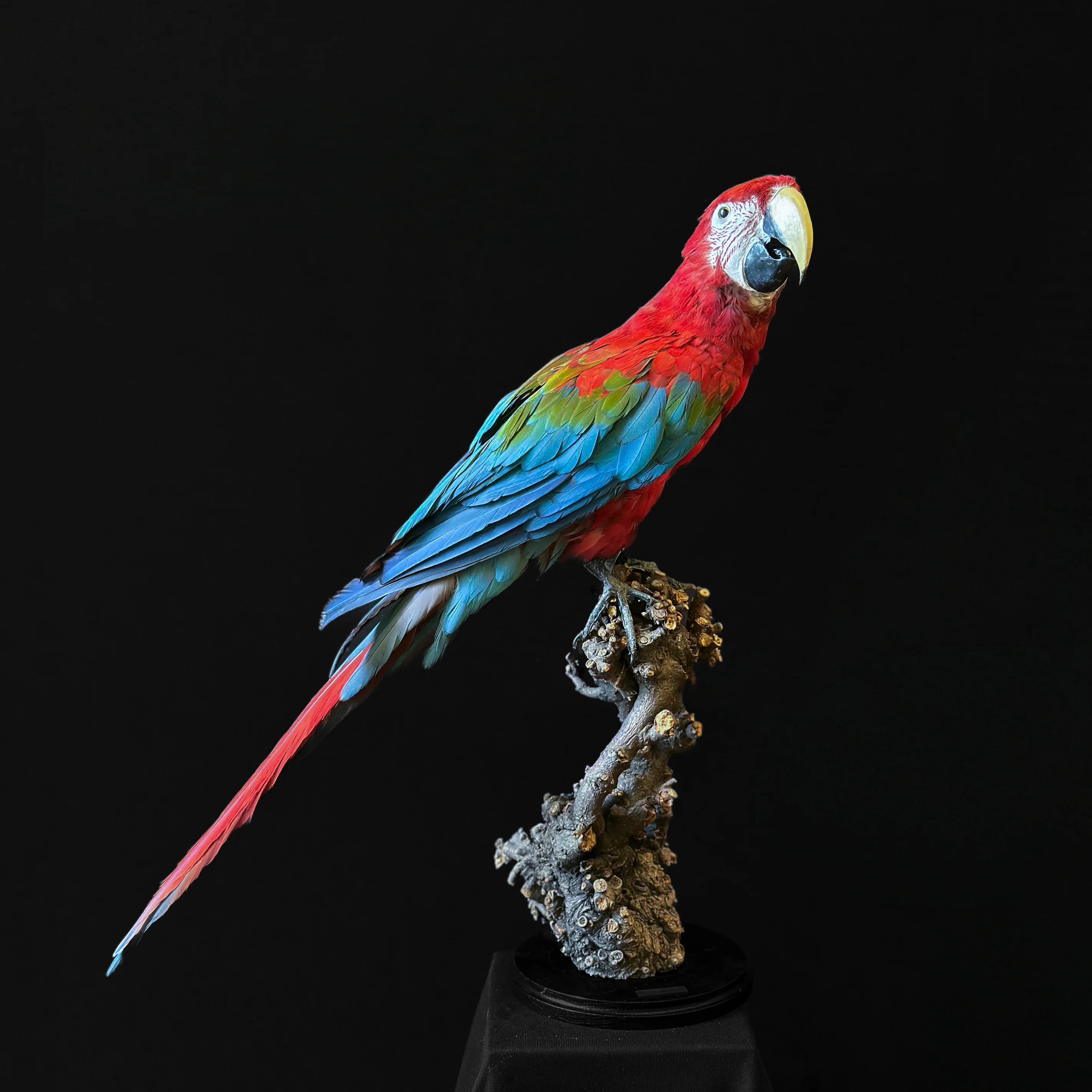 Miniature 1