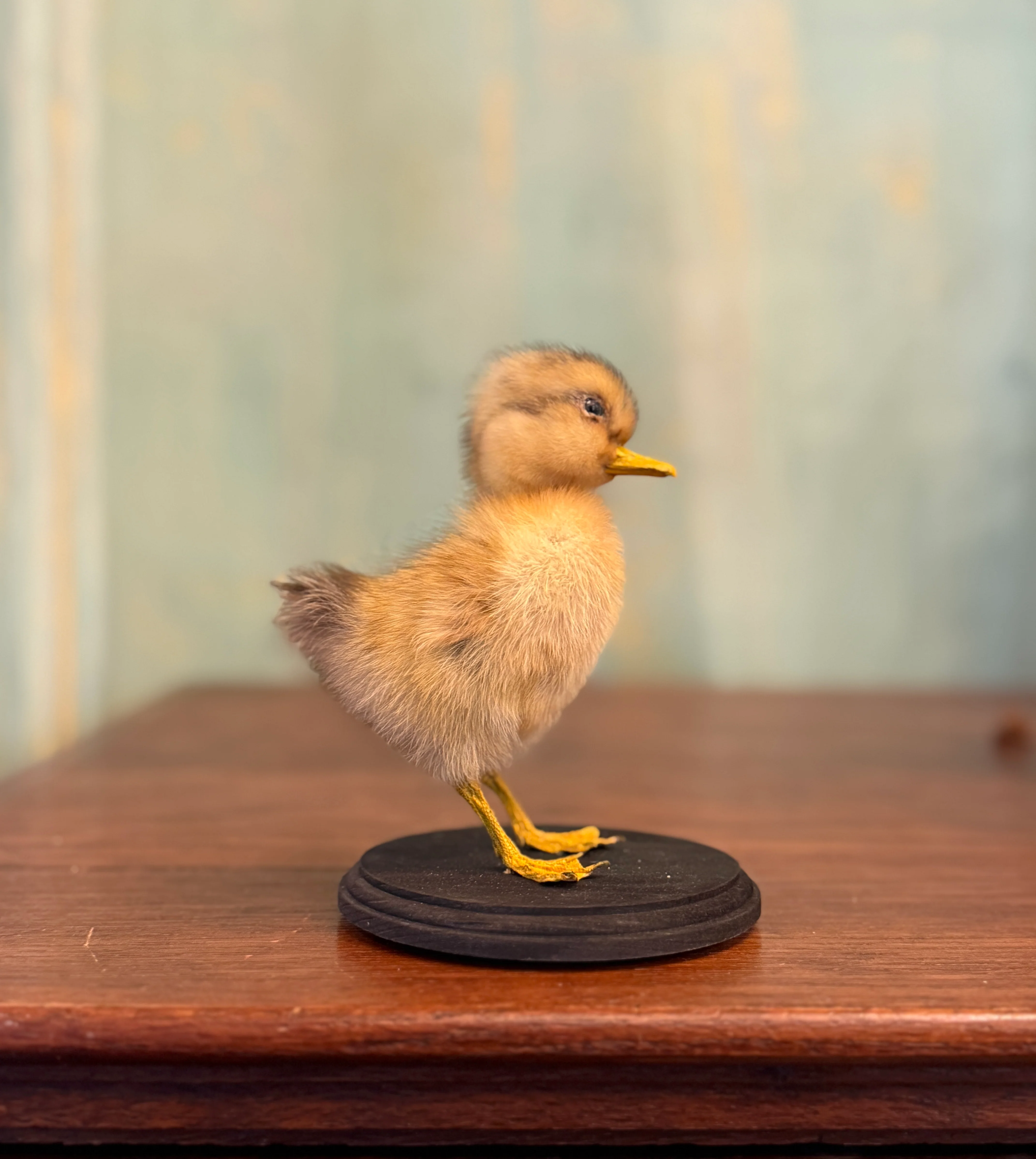 Miniature 1
