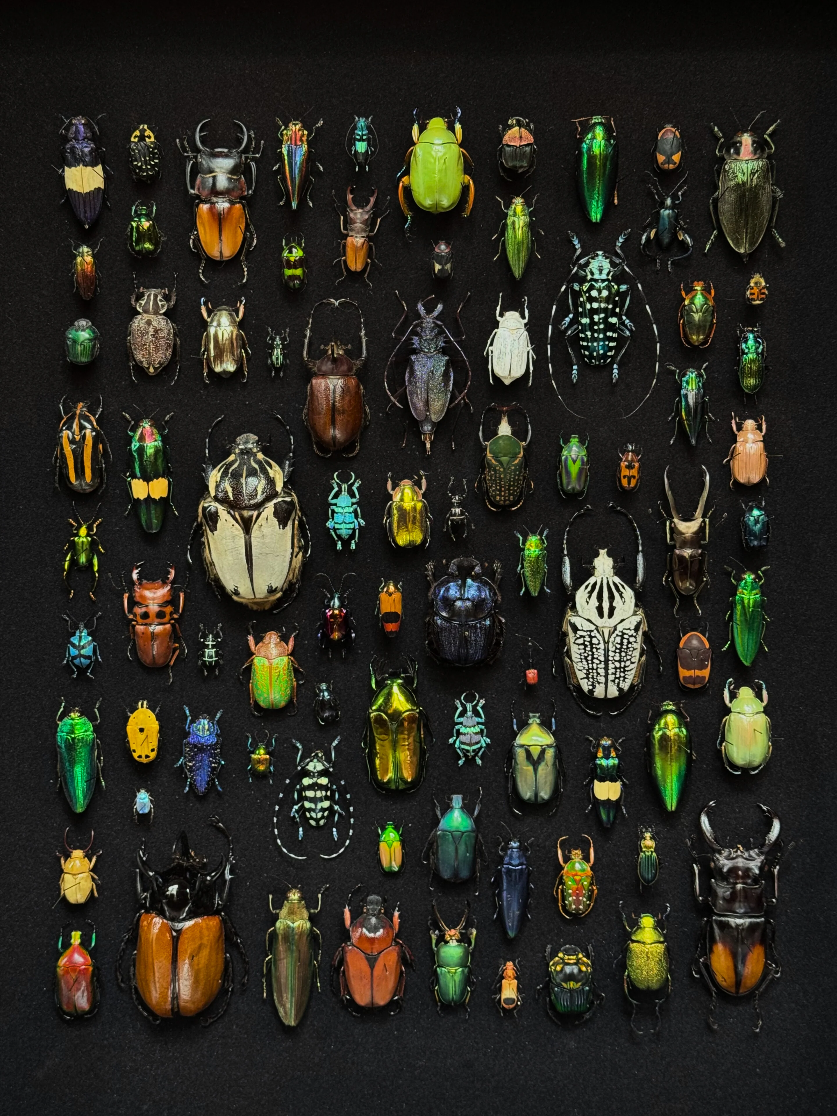 Miniature 1