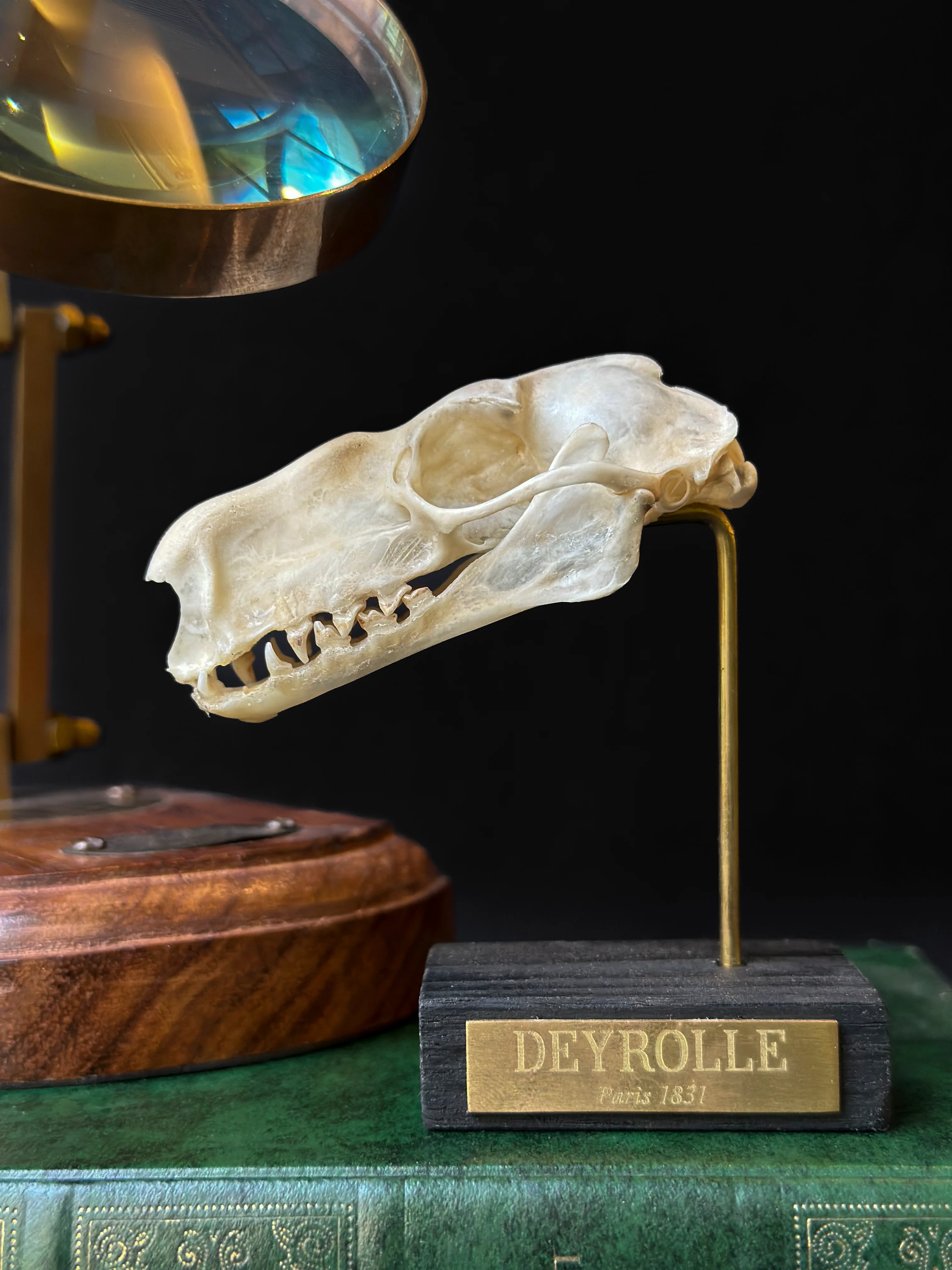 Miniature 1