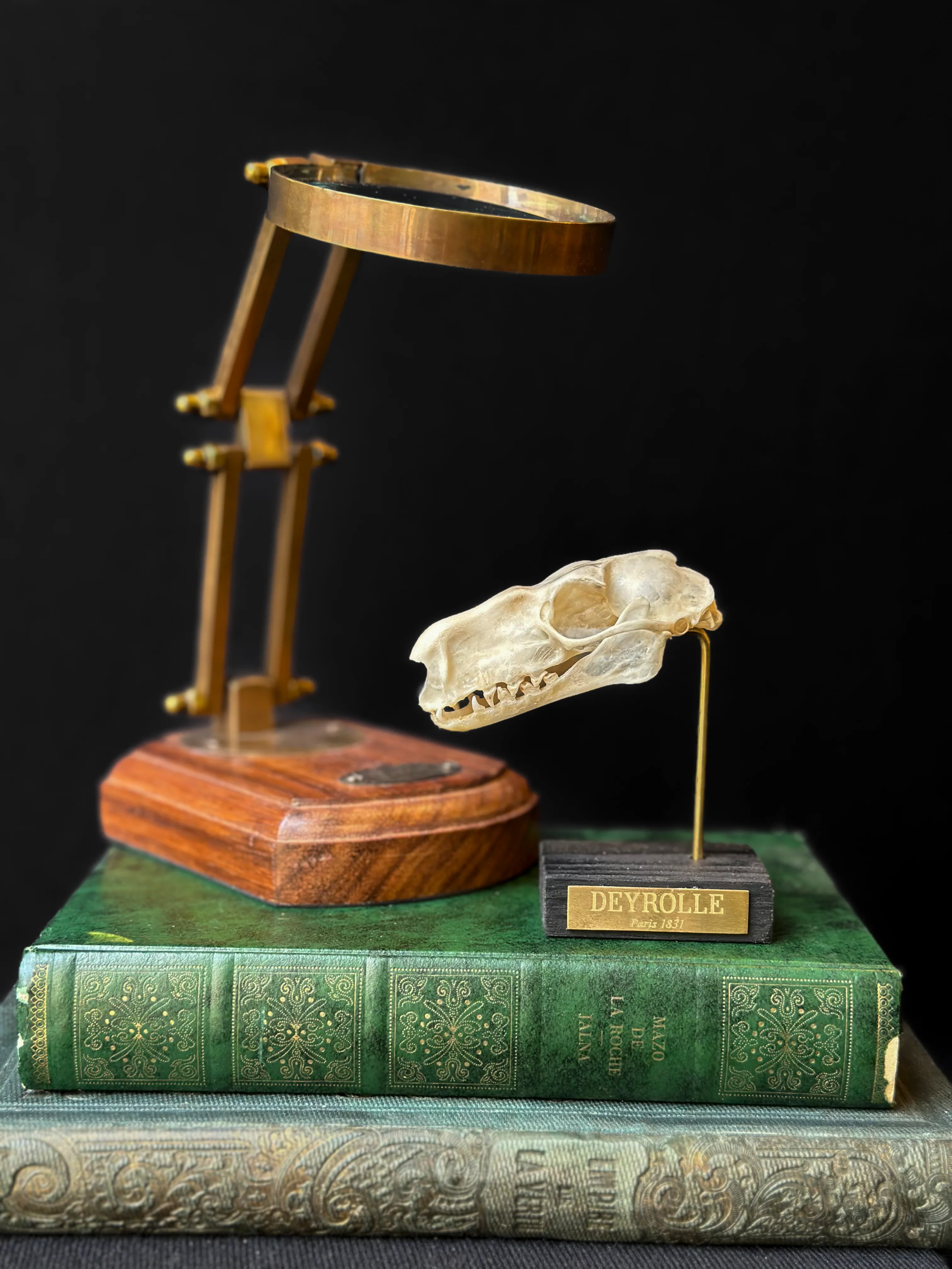 Miniature 2