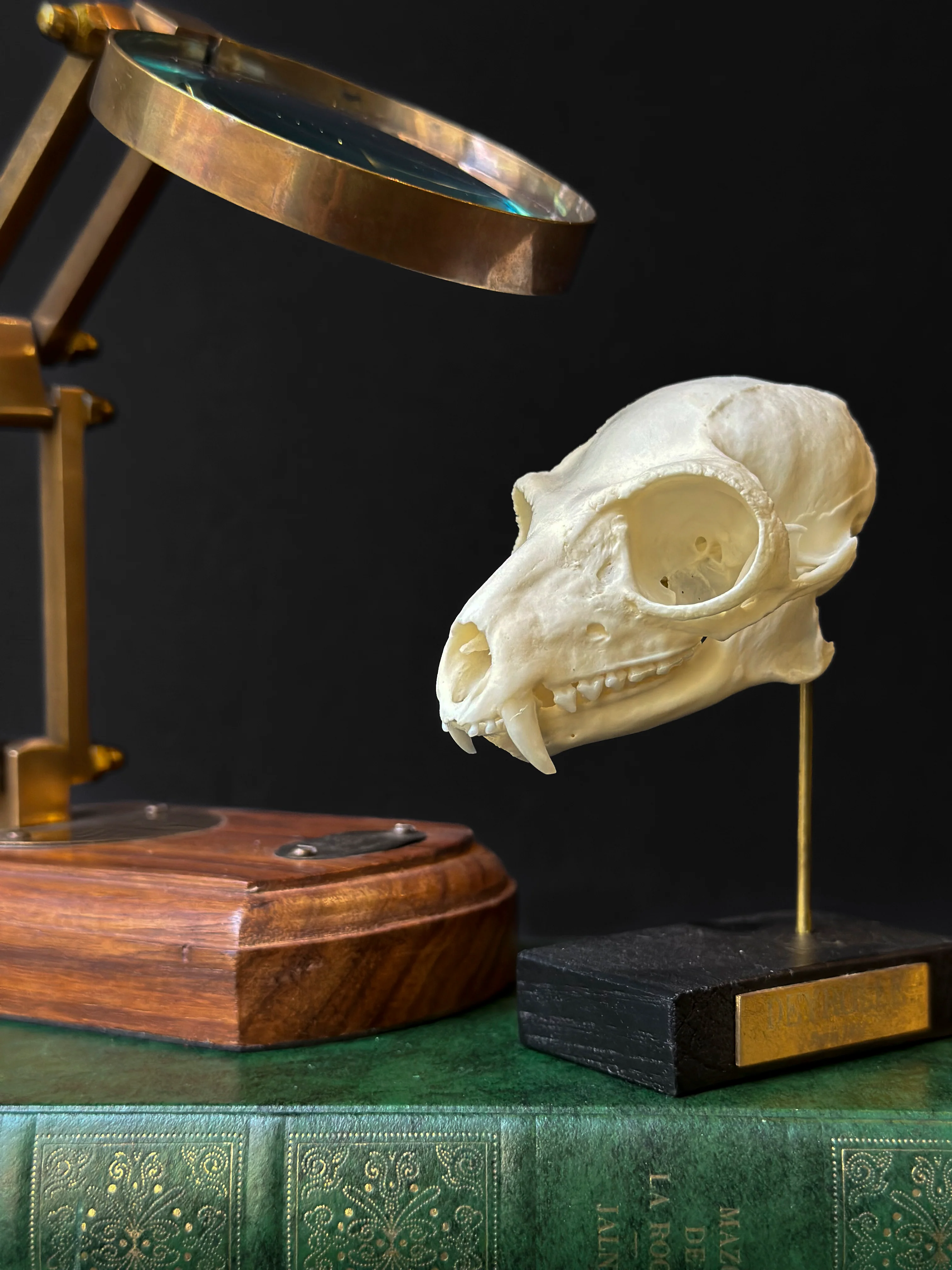 Miniature 1