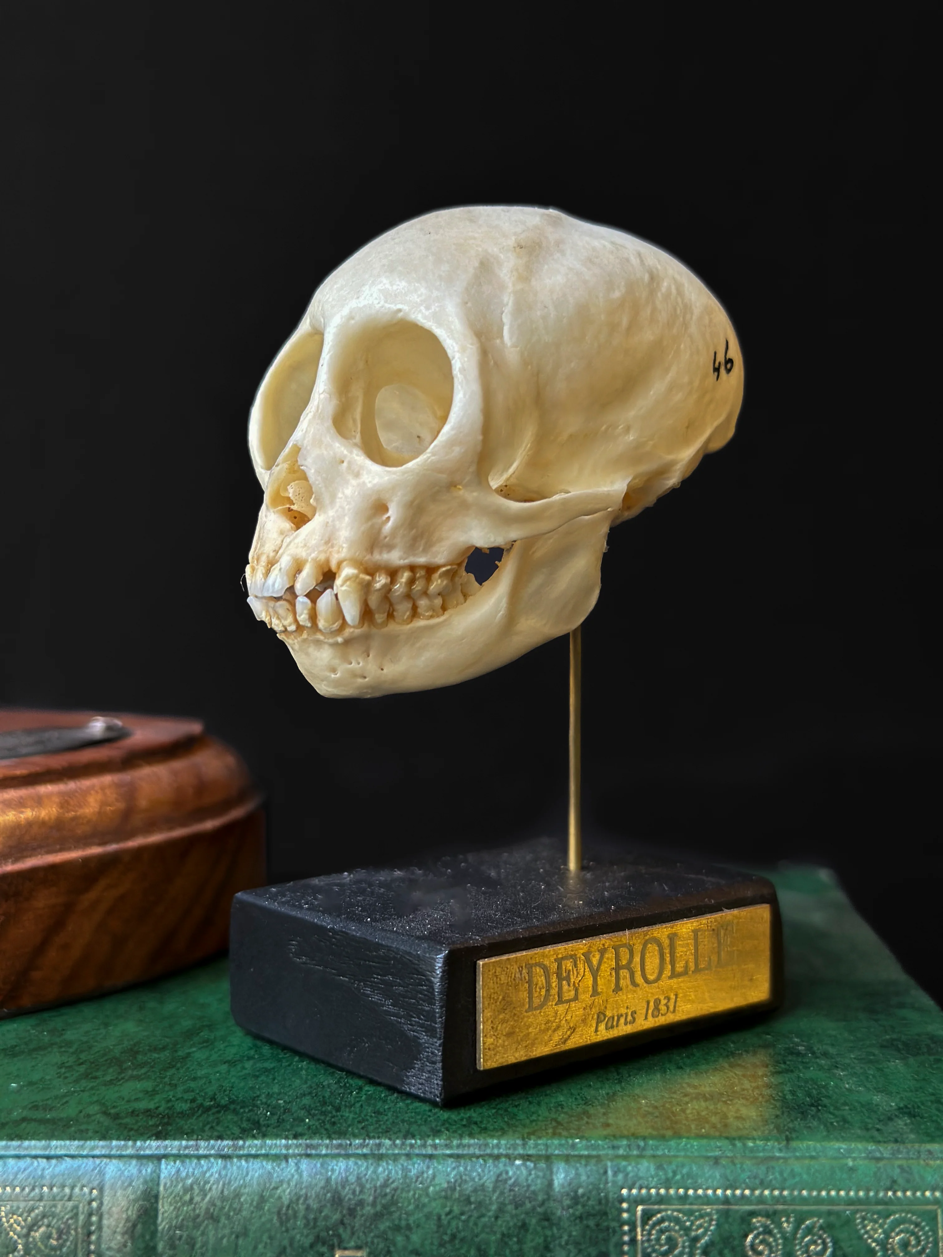 Miniature 1