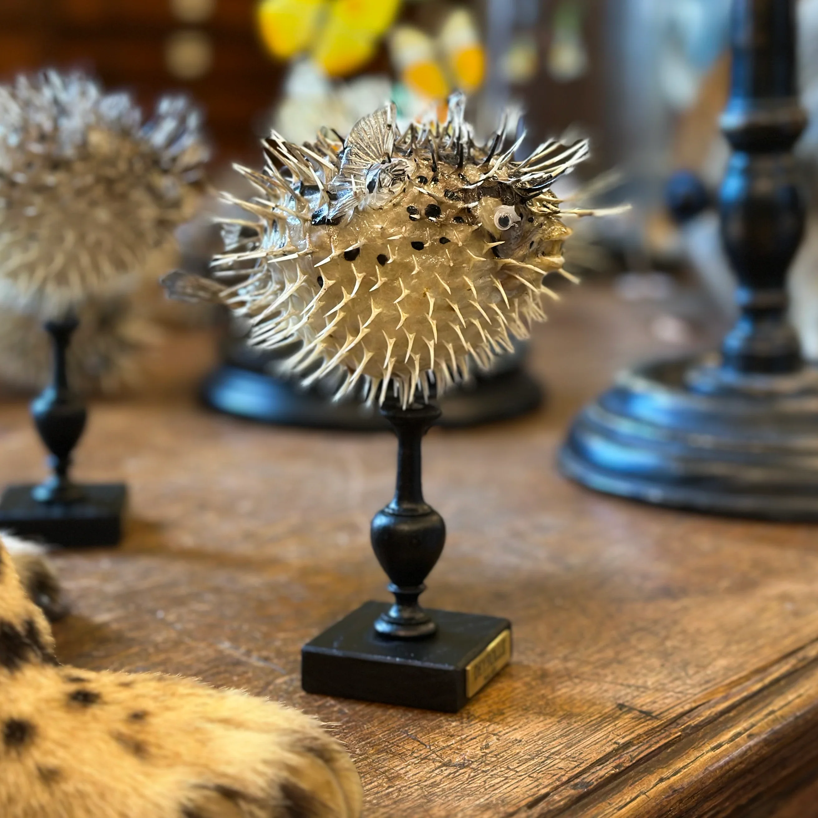 Miniature 1