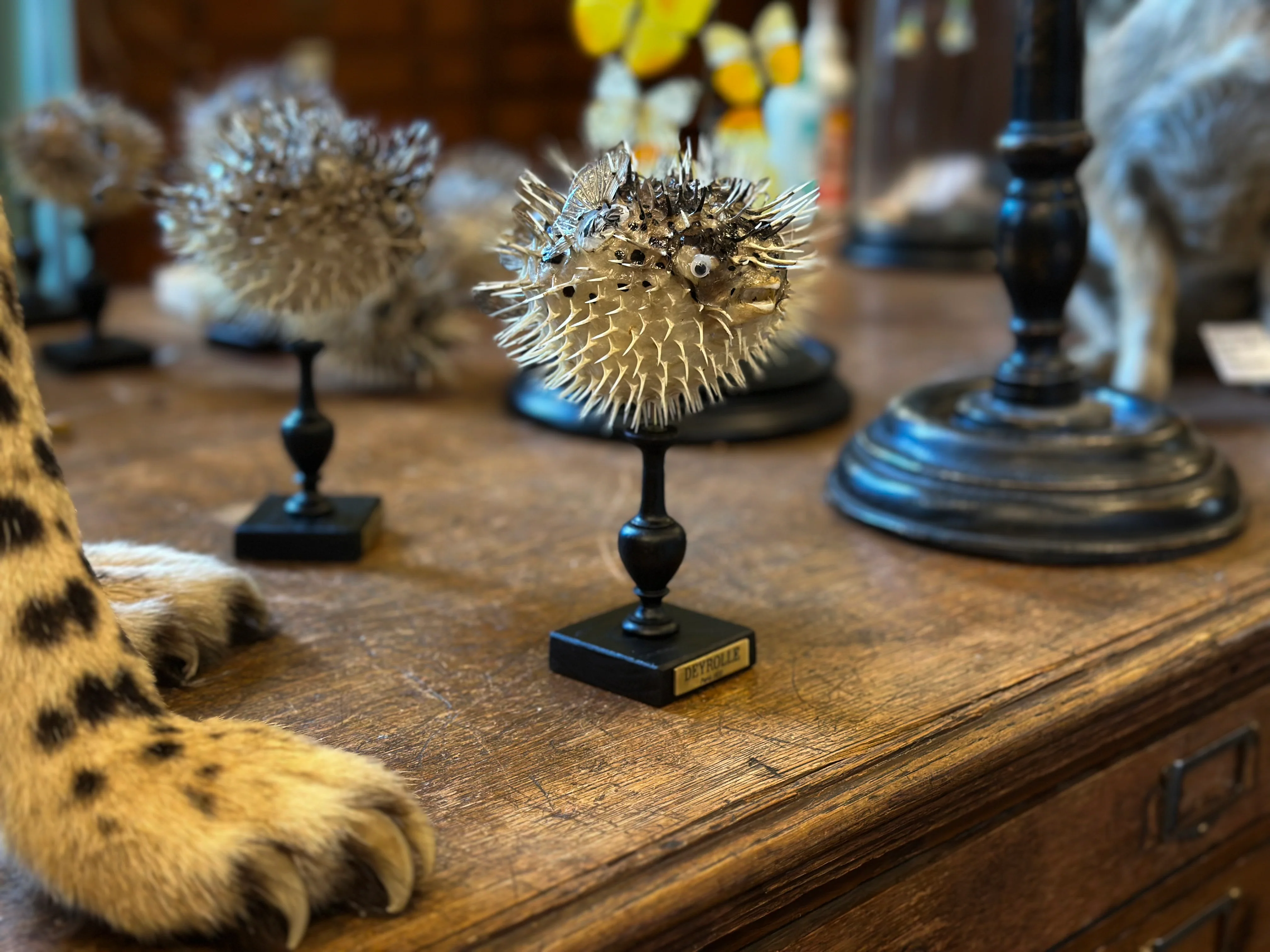 Miniature 2