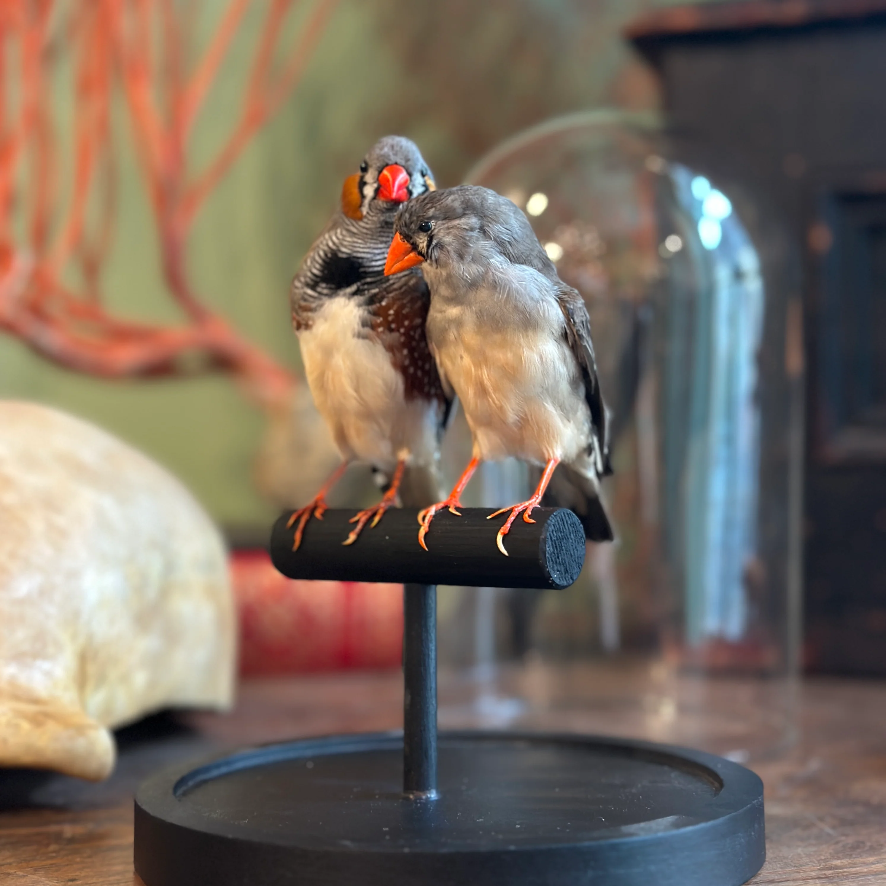 Miniature 1