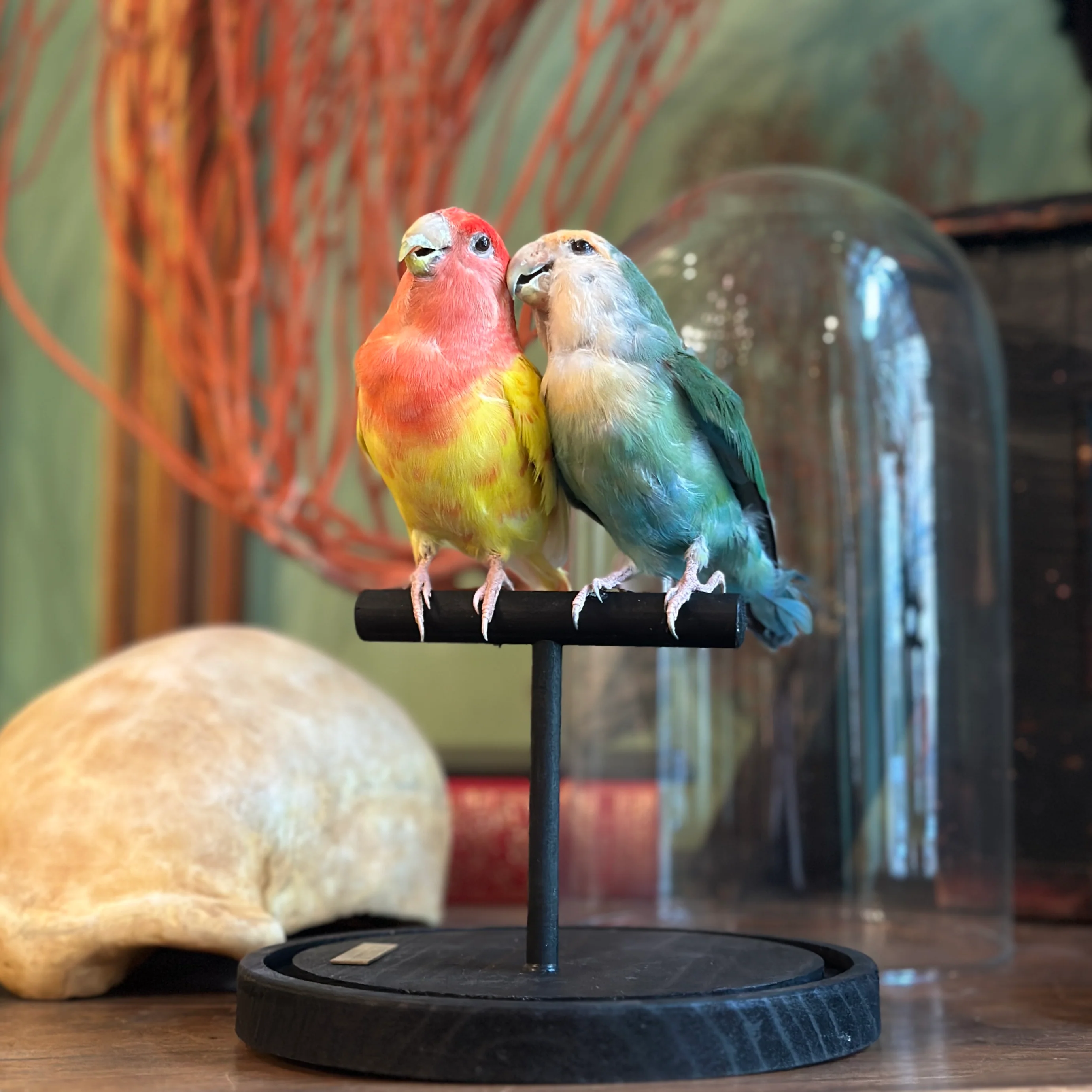 Miniature 1