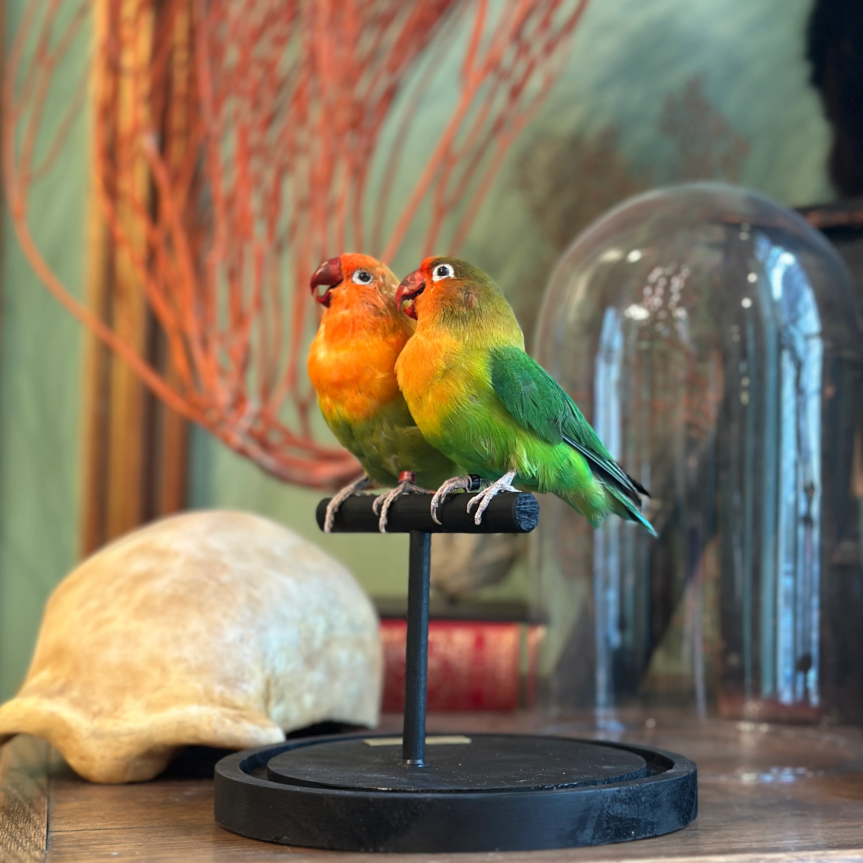 Miniature 1