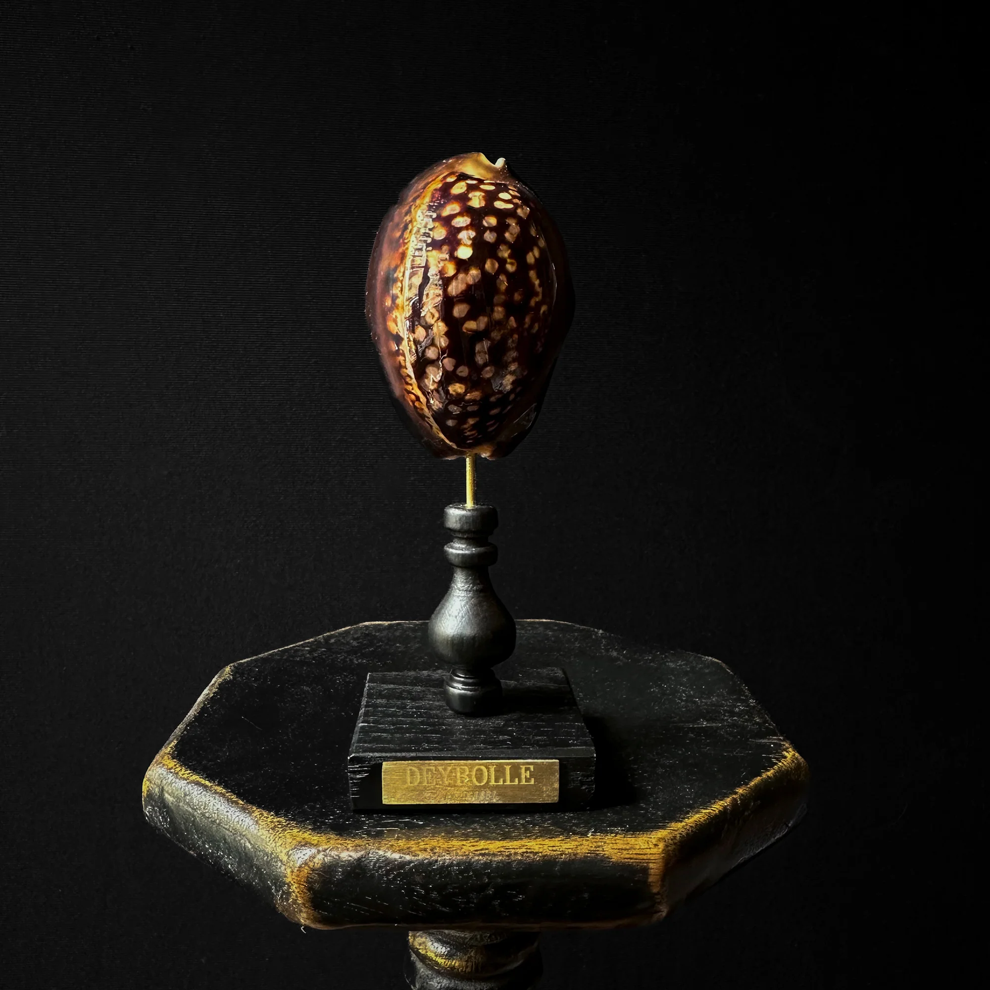 Miniature 2