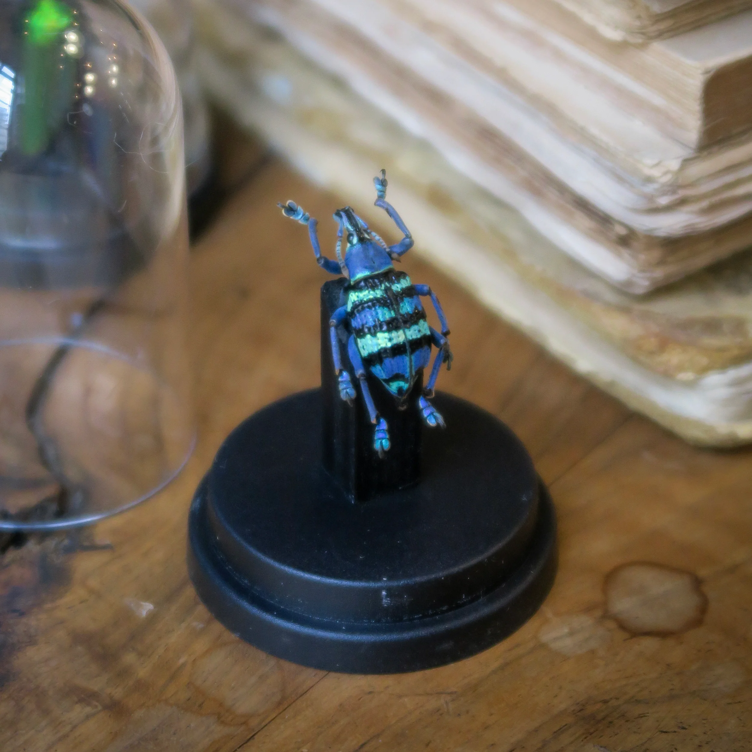 Miniature 2