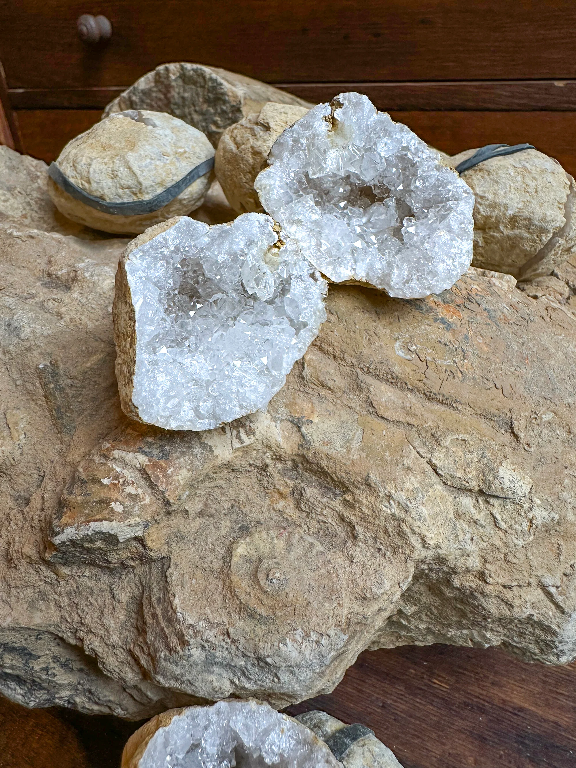 Miniature 1