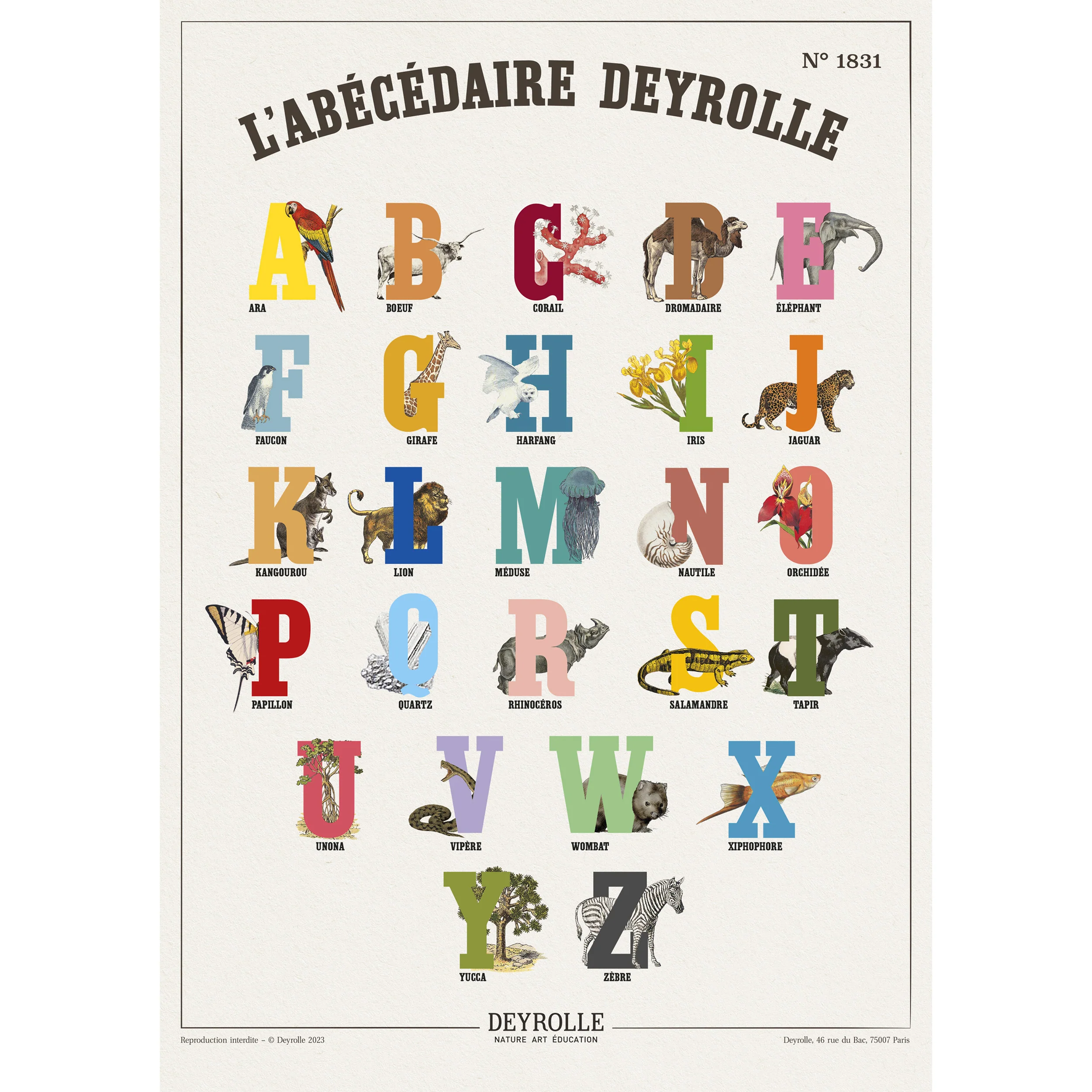 Image du produit 6