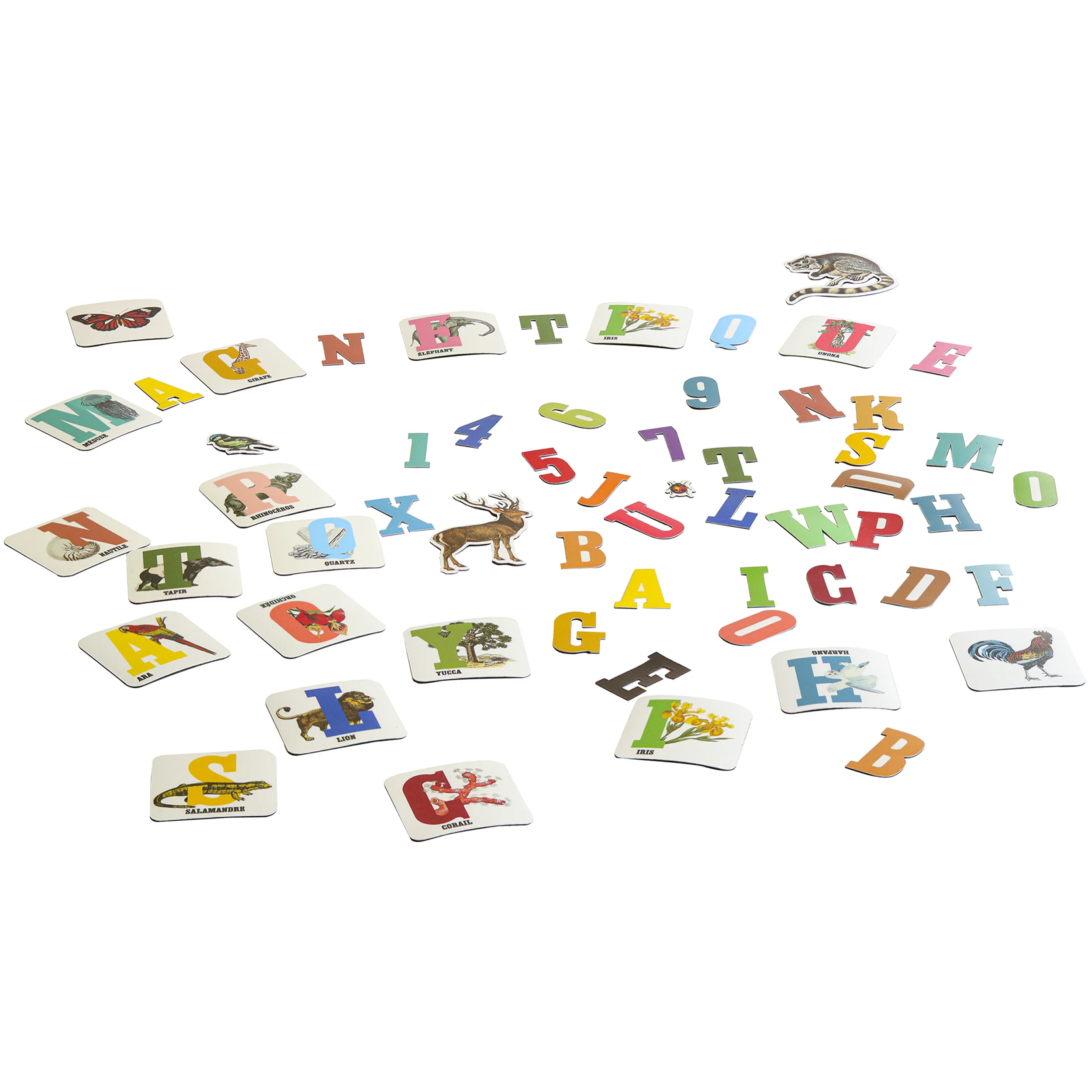 Image du produit 7