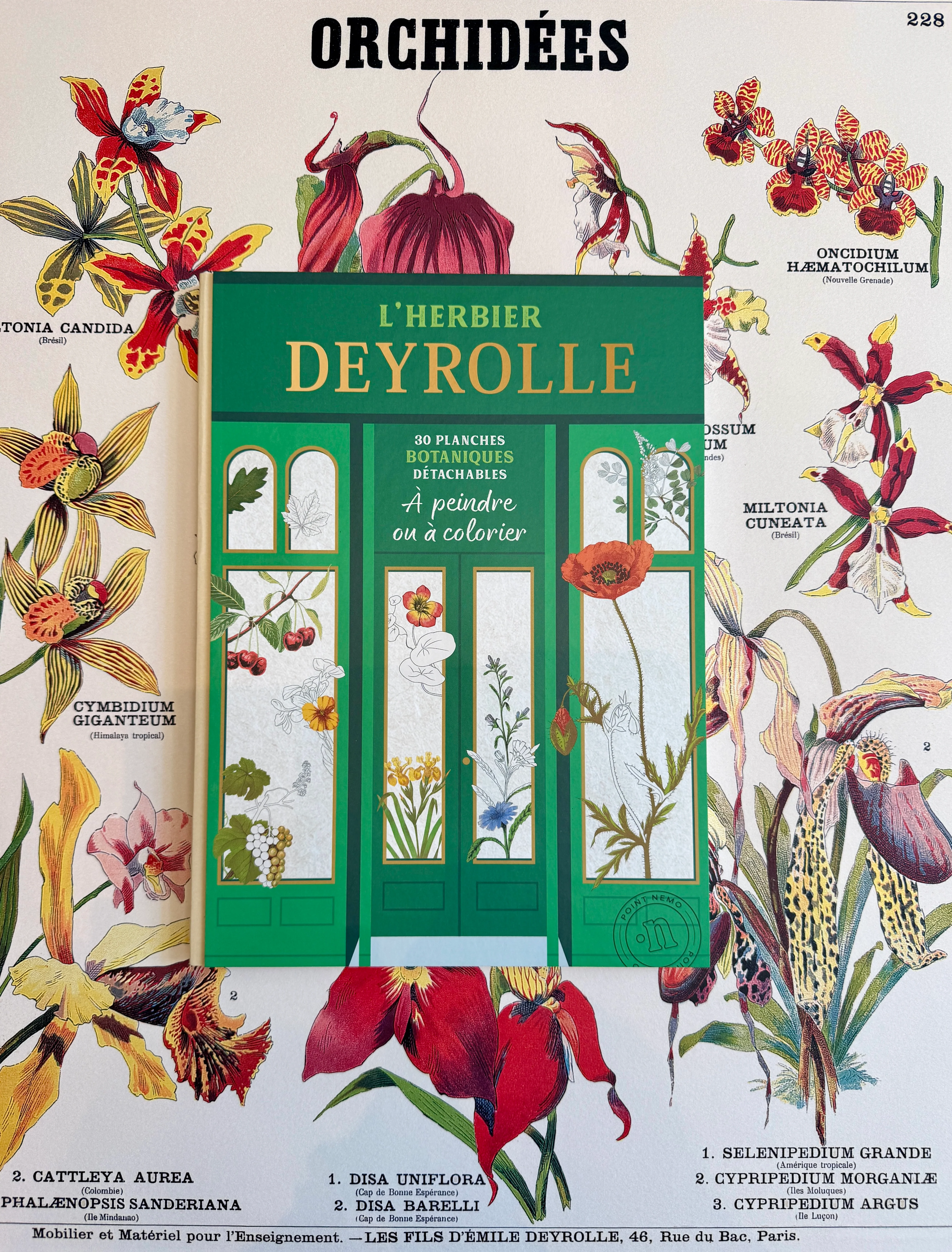 Image du produit 2