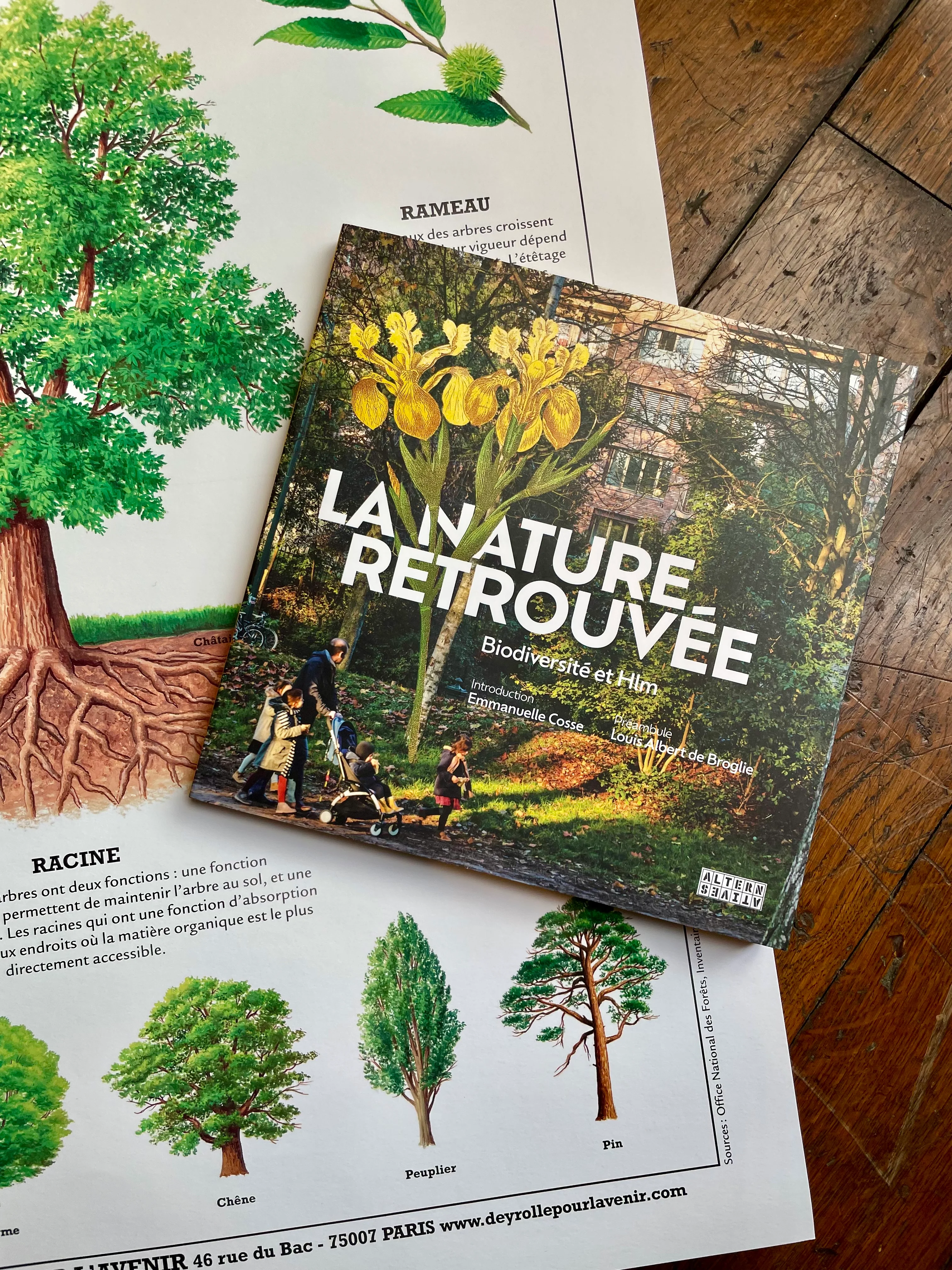 Image du produit 1