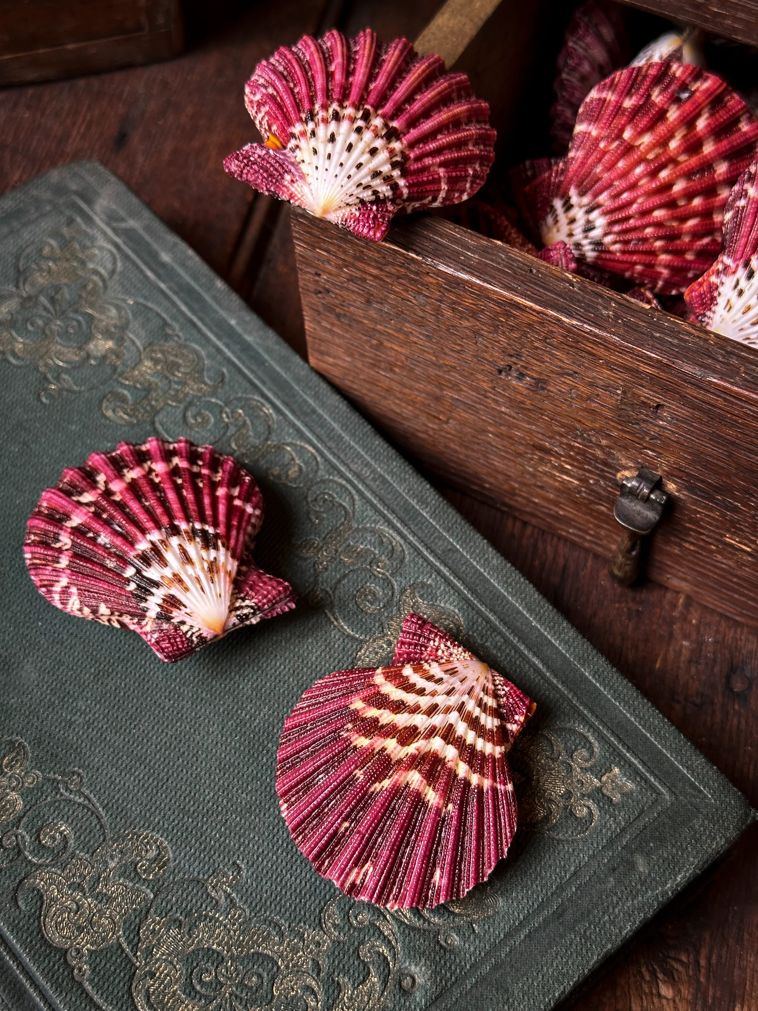 Miniature 1