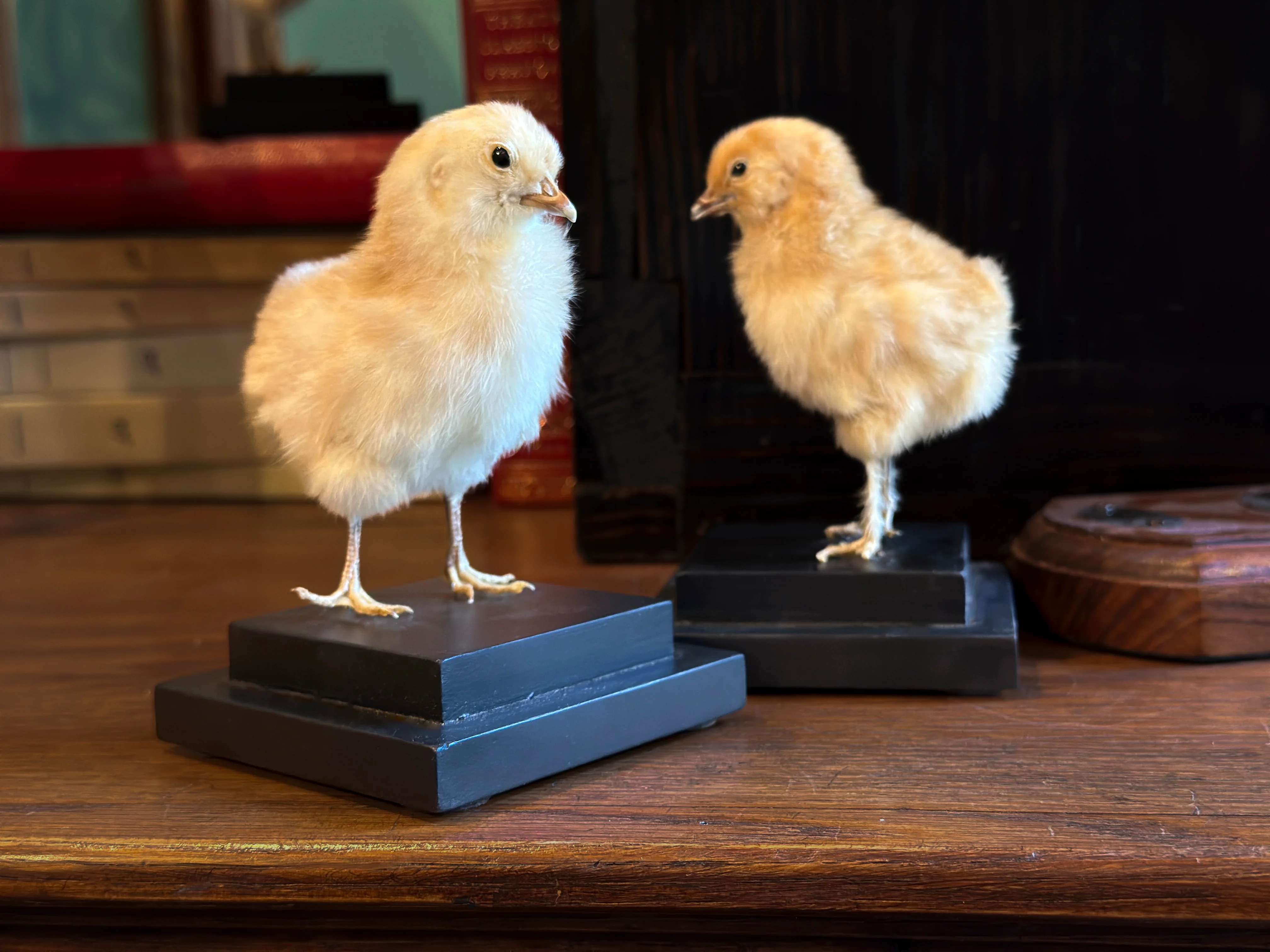 Miniature 2
