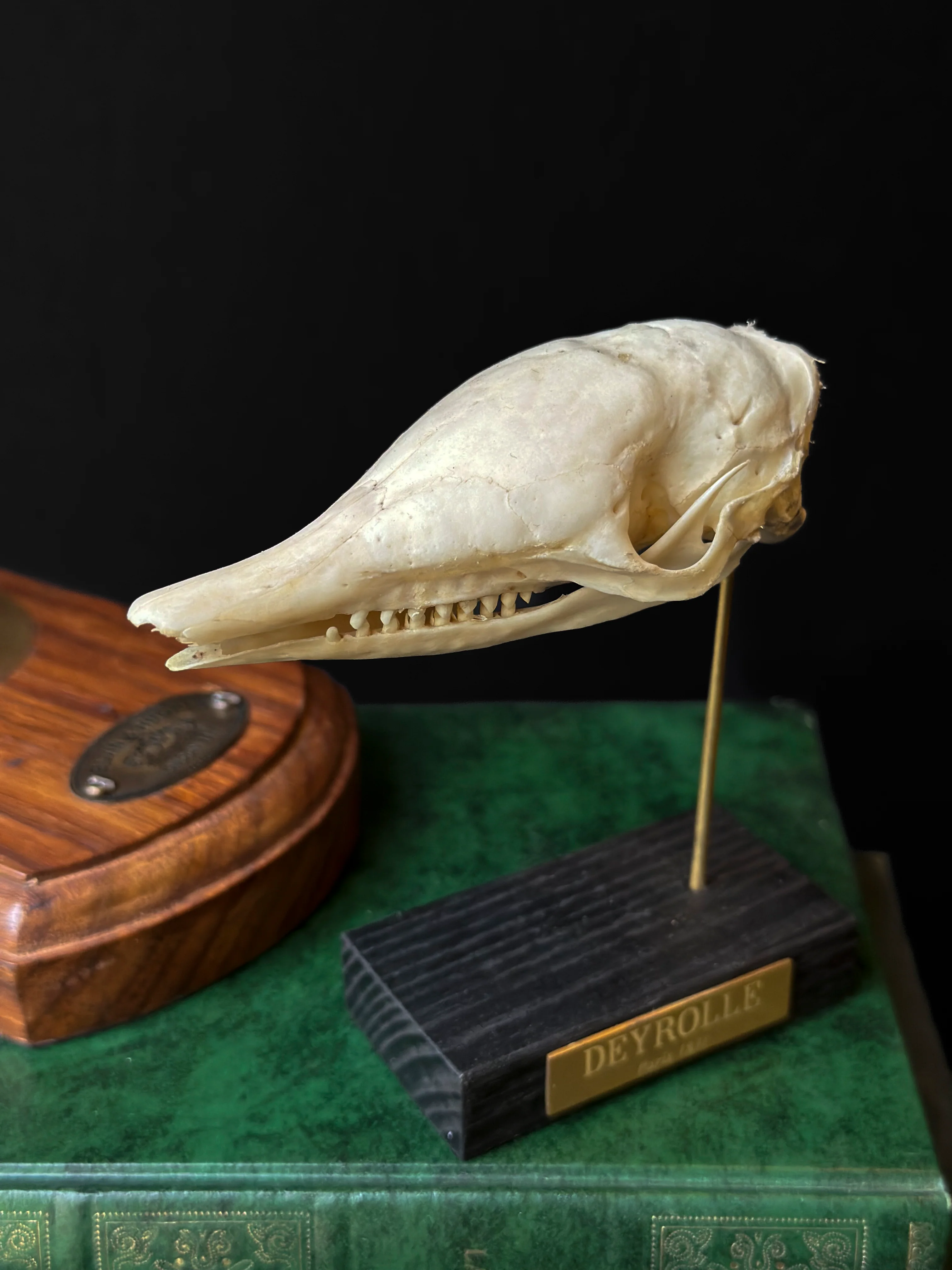 Miniature 1