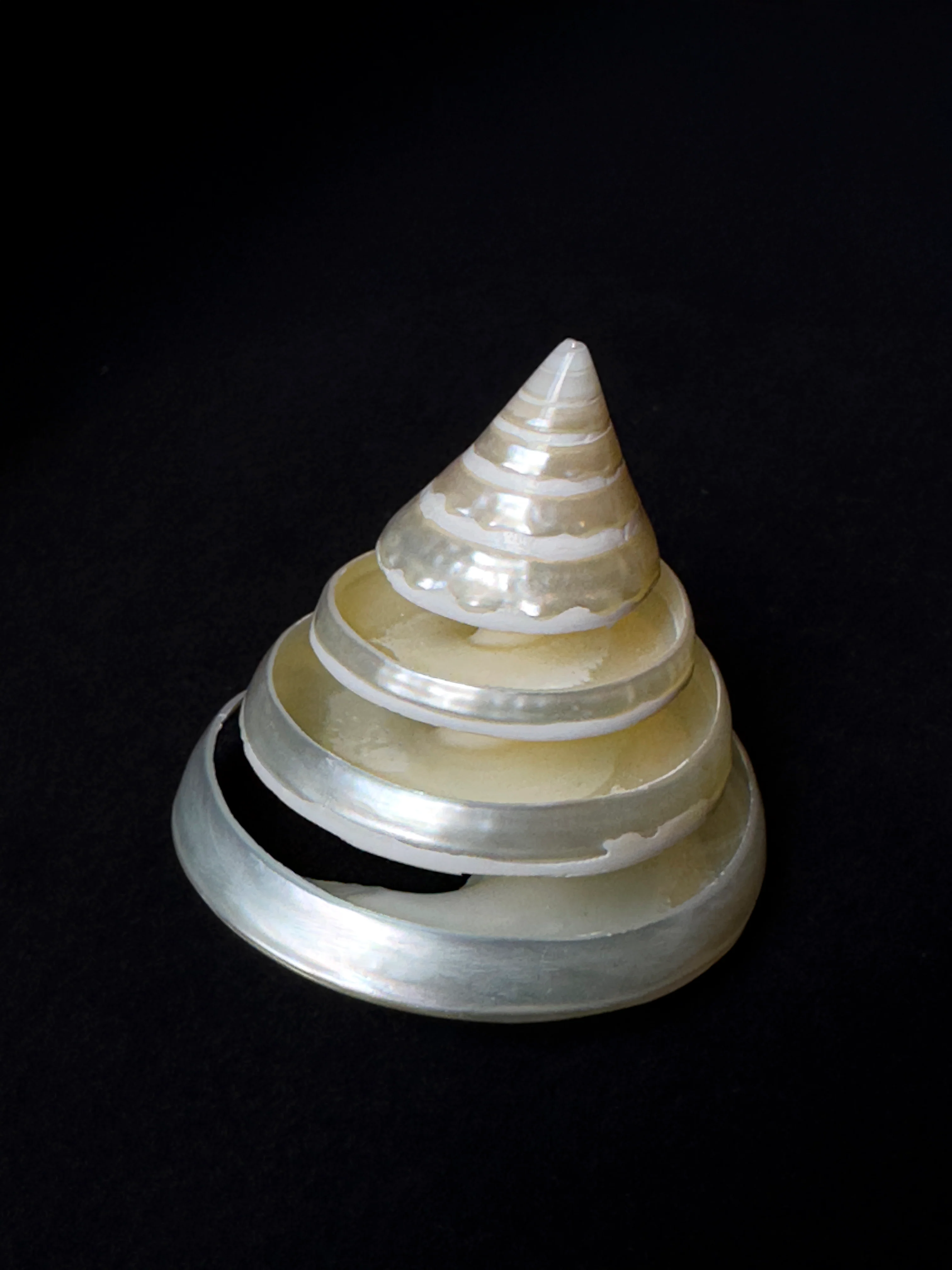 Miniature 1