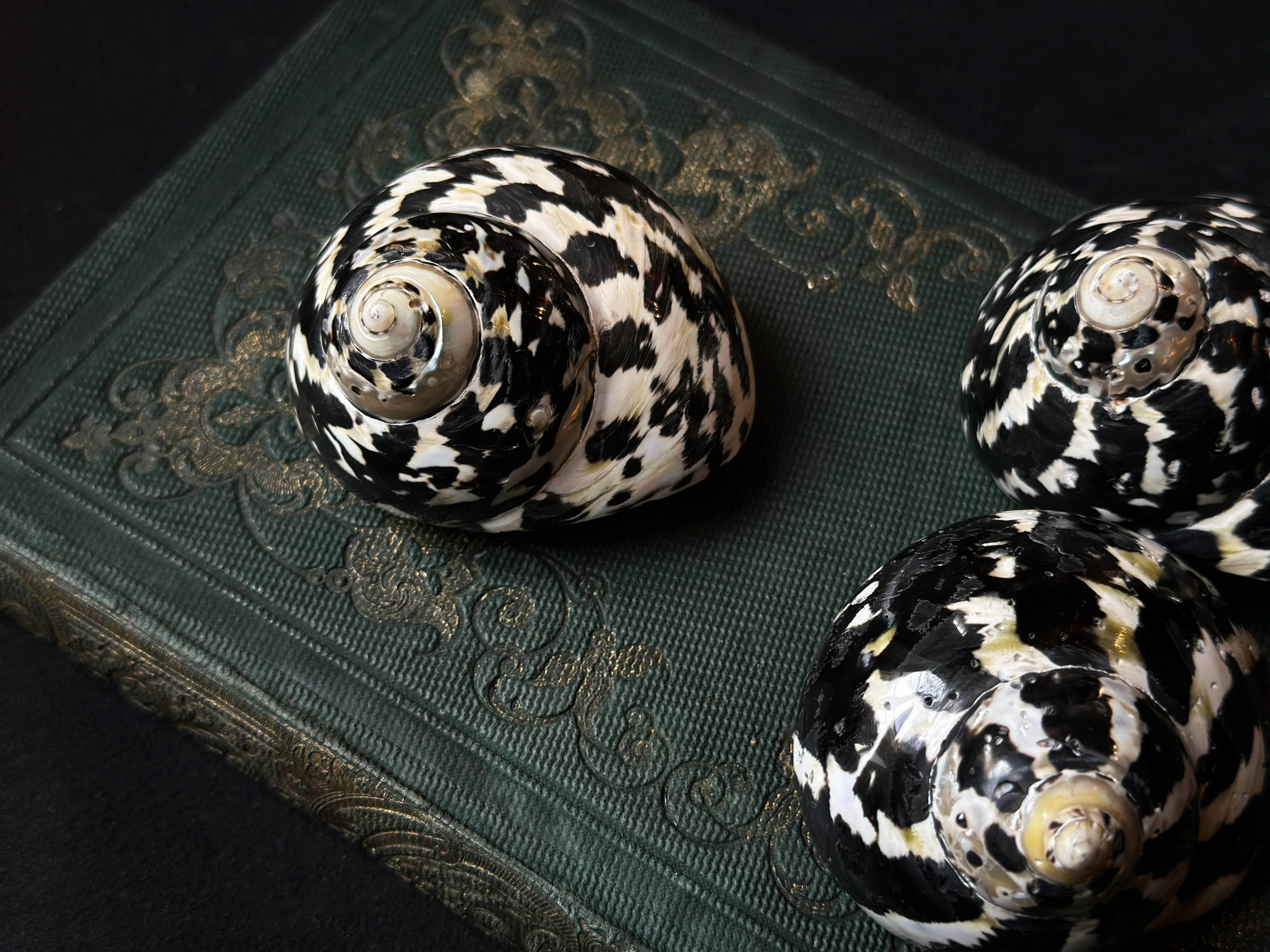 Miniature 2