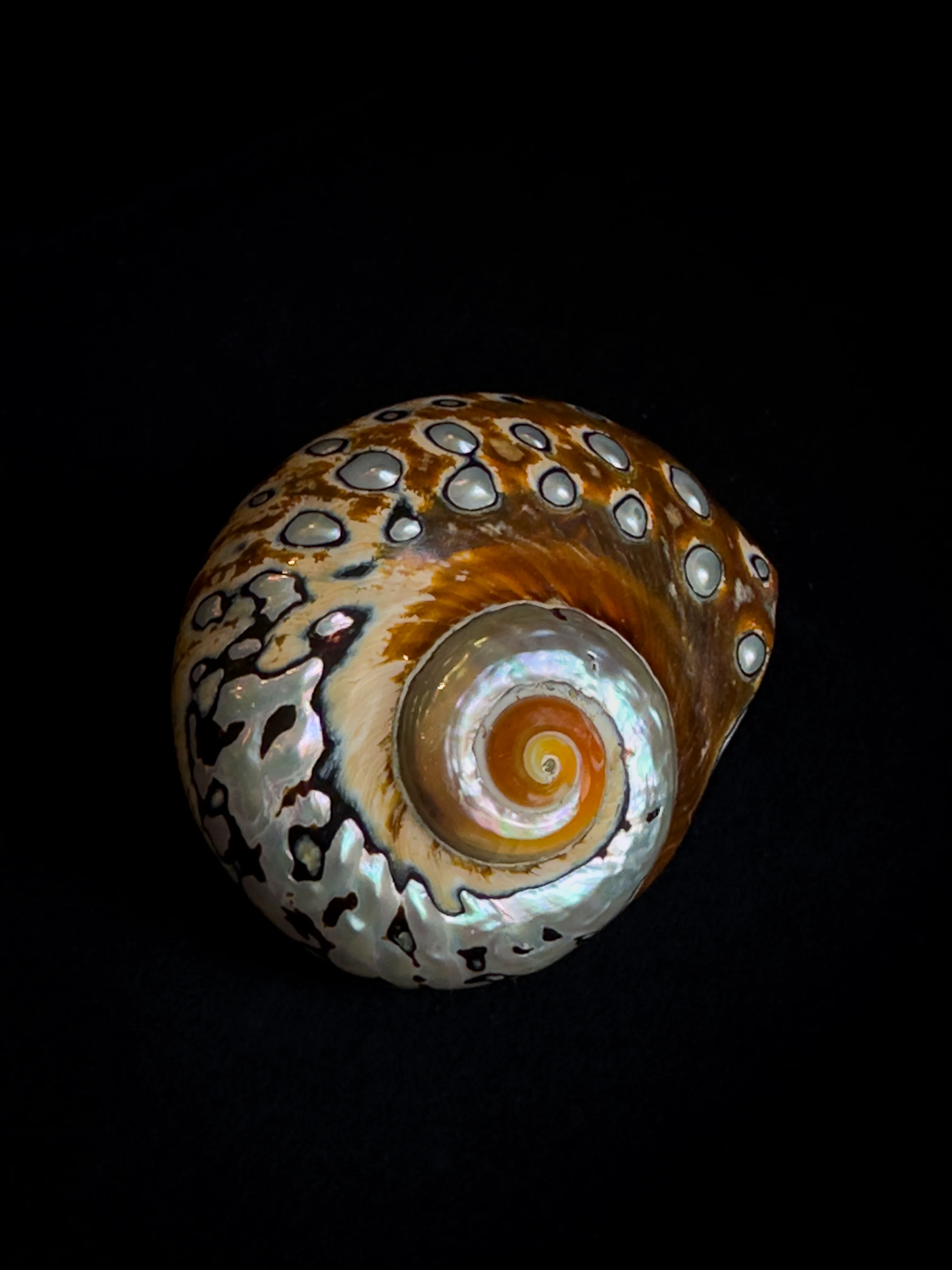 Miniature 2