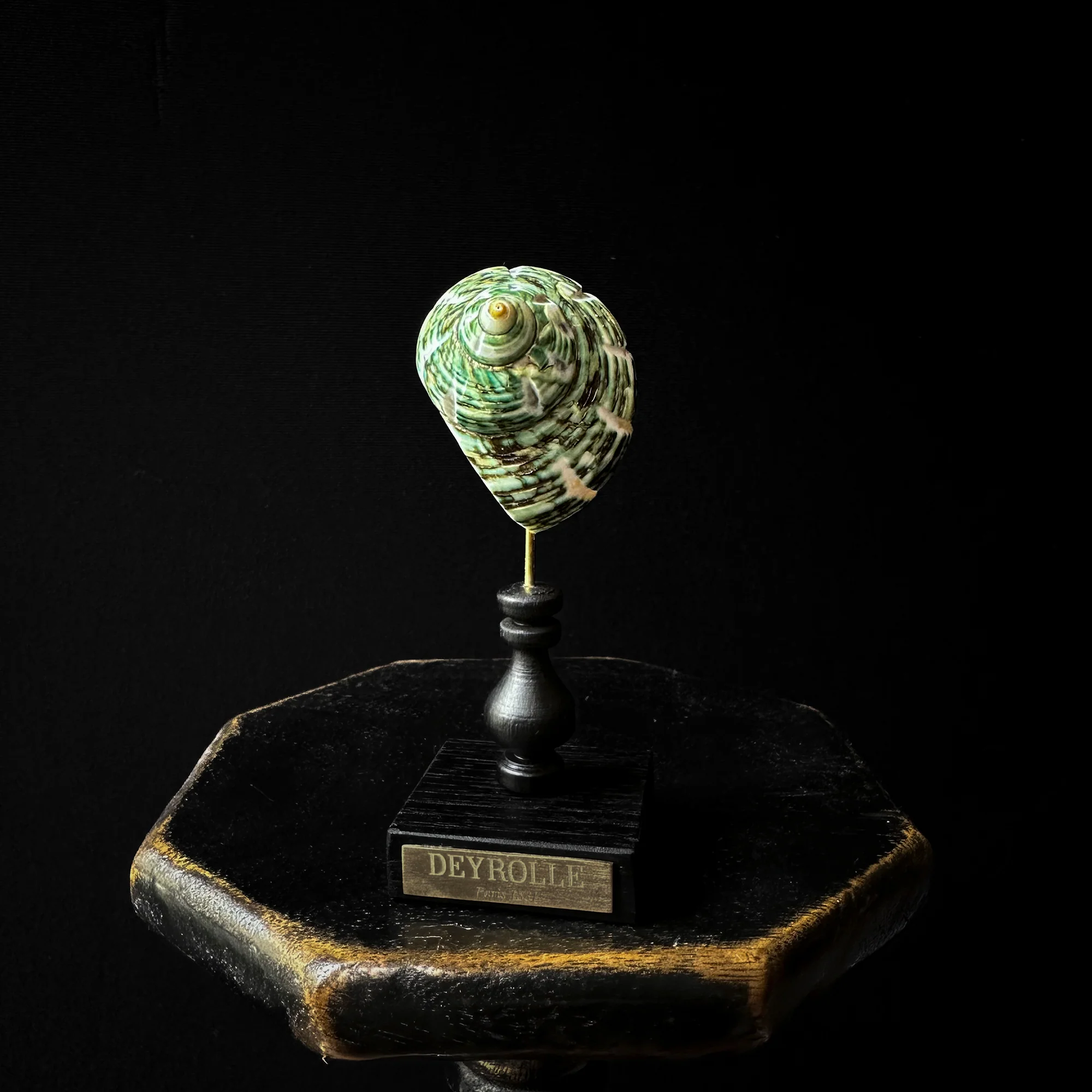 Miniature 2